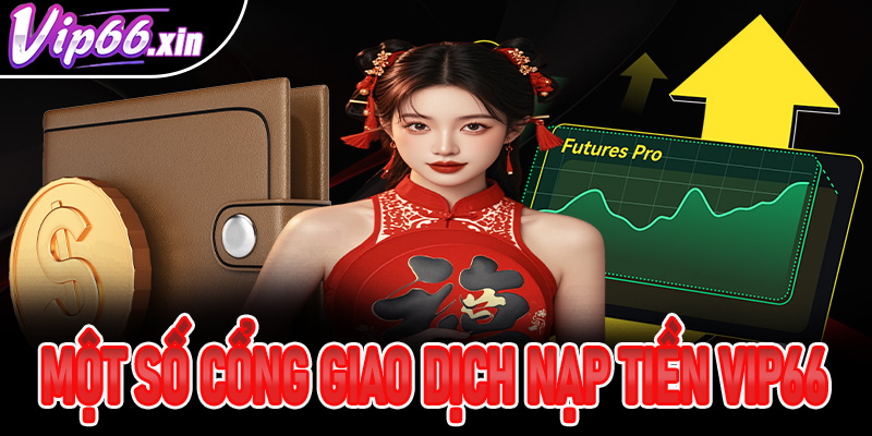 Một số cổng giao dịch nạp tiền Vip66 phổ biến hiện nay
