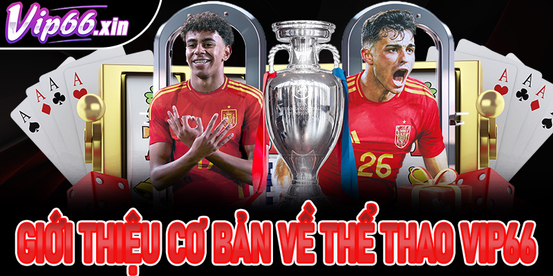 Giới thiệu thông tin cơ bản nên biết về thể thao Vip66