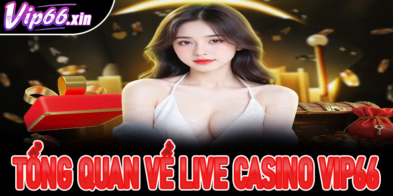 Giới thiệu thông tin tổng quan về live casino Vip66