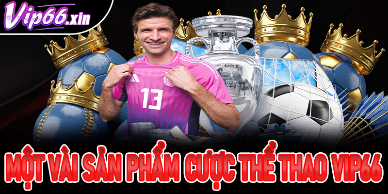 Một vài sản phẩm cược thể thao Vip66 đông đảo khách chơi lựa chọn